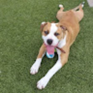 Meet your Posher, Leslie